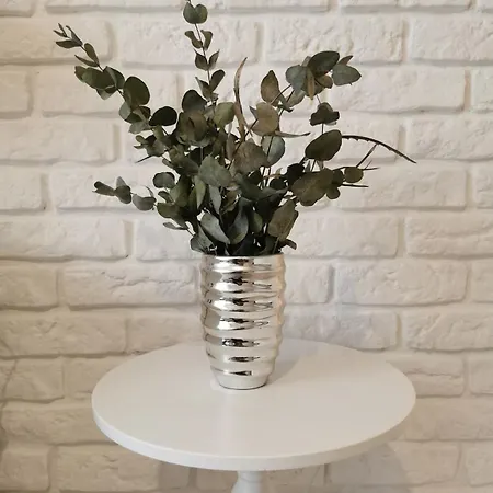 Lägenhet Apartmenty Adler - White